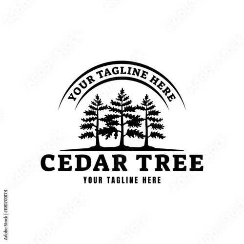 Cedar pine tree logo nature organic environment icon symbol illustration