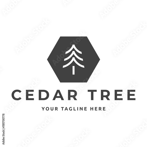 Cedar pine tree logo nature organic environment icon symbol illustration