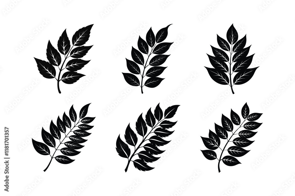 Fototapeta premium Curry Leaf (Murraya koenigii) design, labeled linocut vector illustration