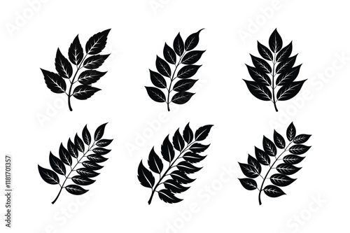 Curry Leaf (Murraya koenigii) design, labeled linocut vector illustration