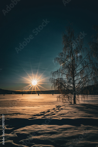 Wintersun in the snow