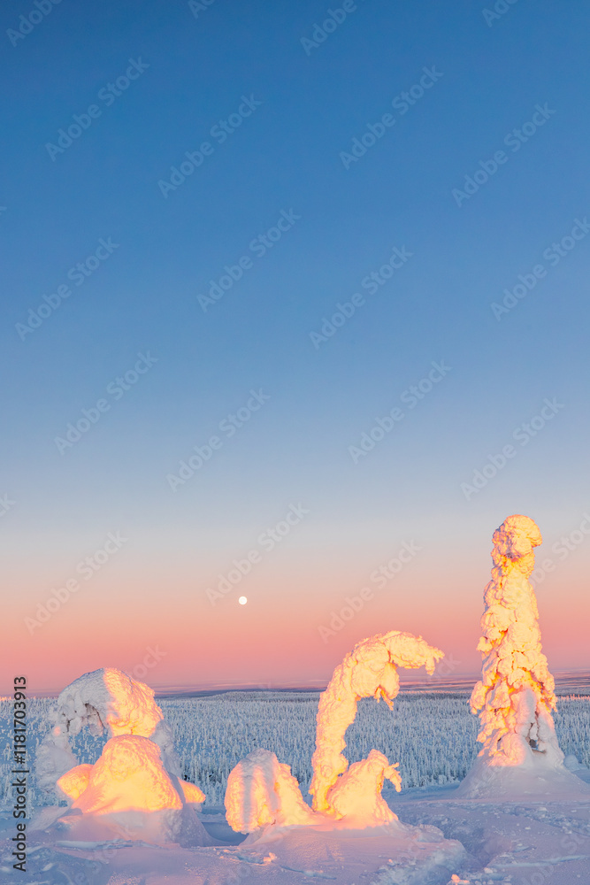 winter landscape with snow