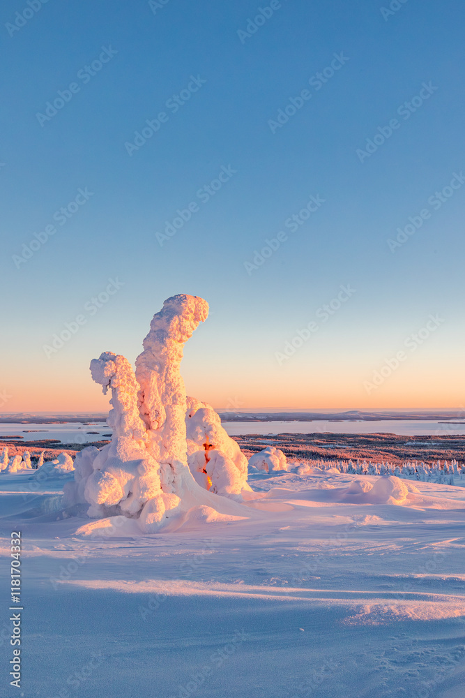 winter landscape