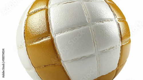Gold and White Volleyball C...