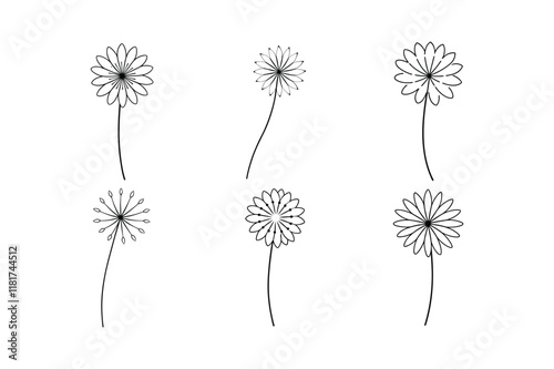 Dandelion (Taraxacum officinale) design, labeled line art vector illustration
