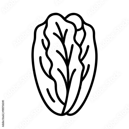 napa cabbage icon, vegetables line art, vegetables vector - simple black line art icon of napa cabbage perfect for logos, and vegetables-themed designs.