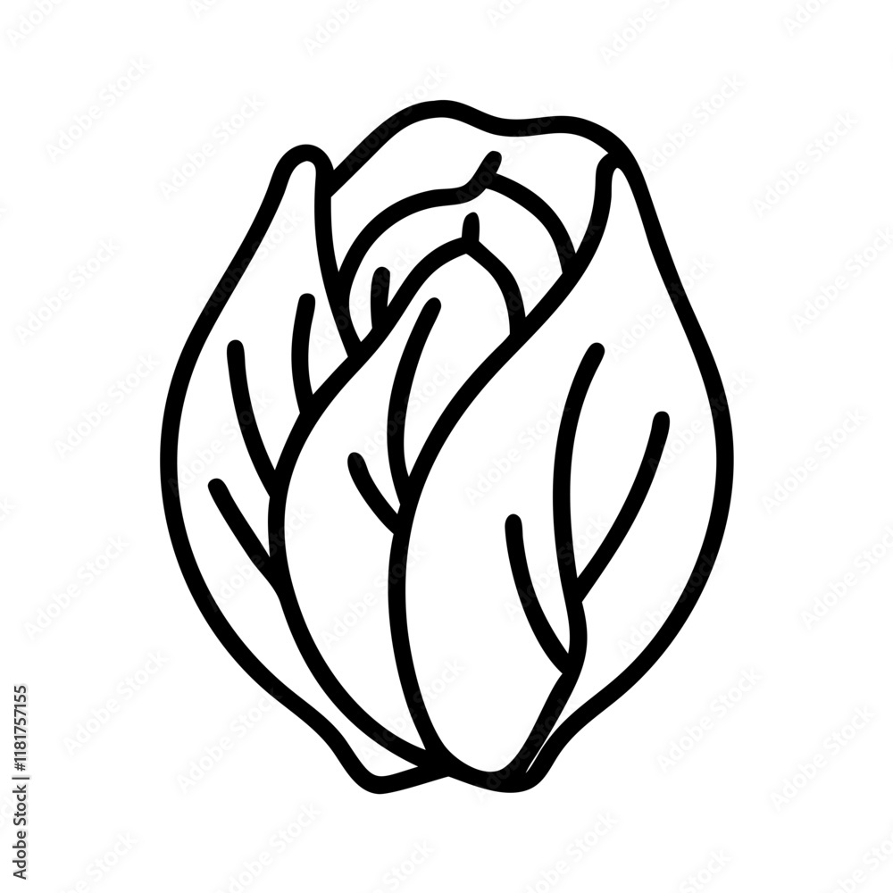 radicchio icon, vegetables line art, vegetables vector - simple black line art icon of radicchio perfect for logos, and vegetables-themed designs. radicchio icon, vegetables line art, vegetables vector - simple black line art icon of radicchio perfect for logos, and vegetables-themed designs.