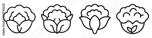 cauliflower icon, vegetables line art, vegetables vector - simple black line art icon of cauliflower perfect for logos, and vegetables-themed designs.