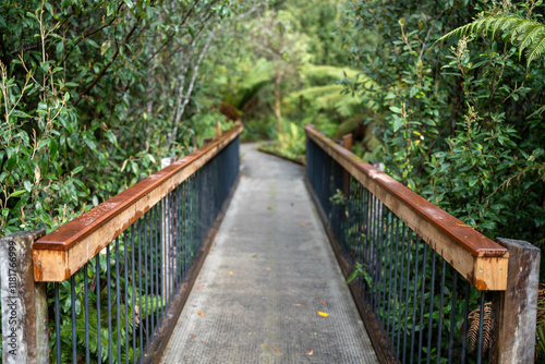 boardwalk in a national park in australia
