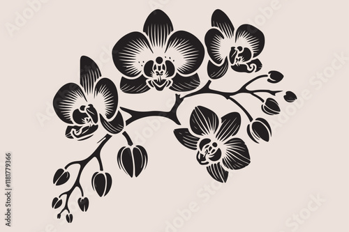 A  black and white silhouette of an orchid branch