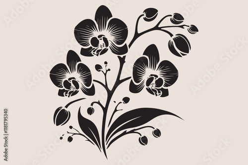 A  black and white silhouette of an orchid branch