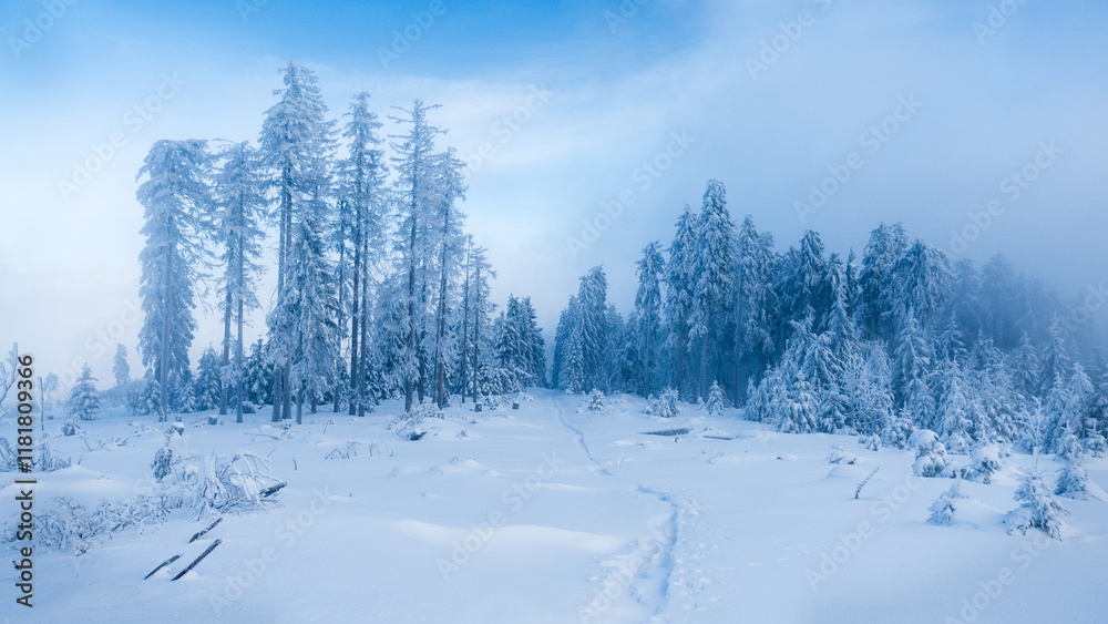 Silent frozen winter forest with path through the snow field has mysterious atmosphere with misty cloudy sky during mountaineering in Sumava mountains, Czechia. Silent frozen winter forest with path through the snow field has mysterious atmosphere with misty cloudy sky during mountaineering in Sumava mountains, Czechia.