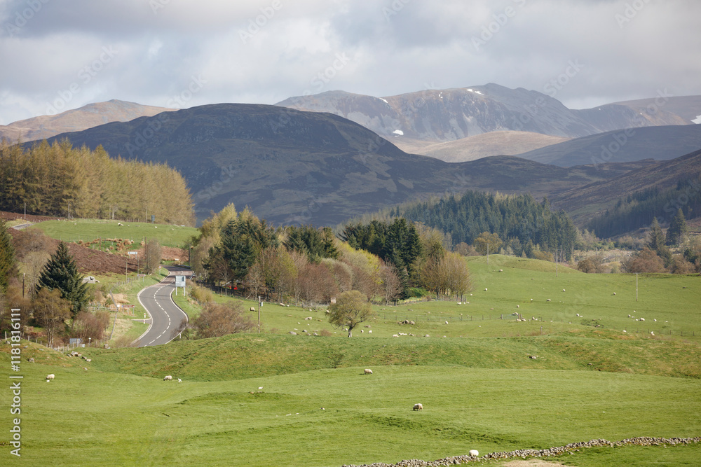 Rolling green hills and winding road through the tranquil Scottish countryside under a cloudy sky Rolling green hills and winding road through the tranquil Scottish countryside under a cloudy sky
