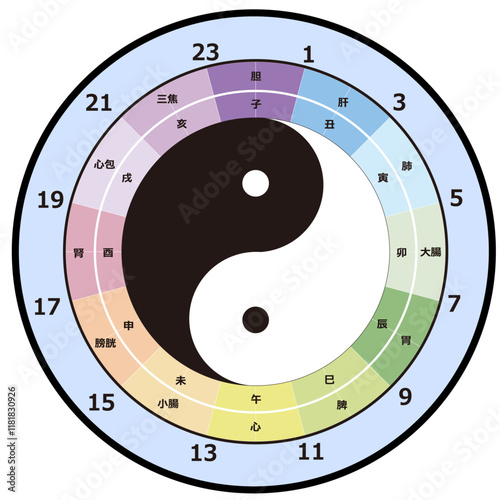 子午流注図