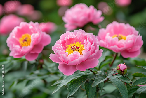 Colorful blossom in spring garden generative ai picture