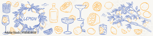 Hand drawn sketch style citrus fruits set. Vector cute elegant doodle line illustration of lemons, frame, wreath, cocktail glass and lemon tree for background, card, invitation or poster, packaging.