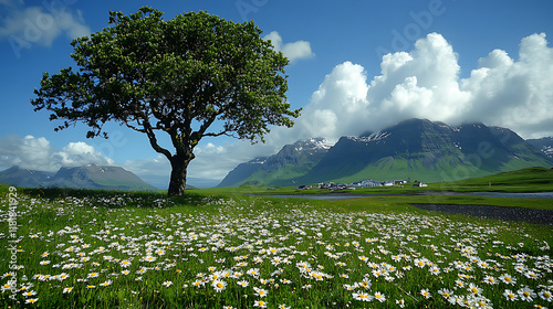 Scenic View of Akrafjall Mountain in Akranes, West Iceland Featuring Blossoming Wildflowers on a Bright Sunny Day photo