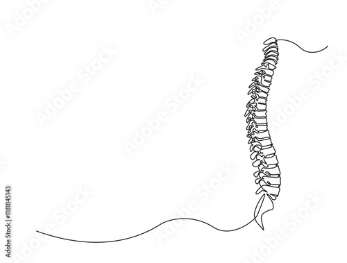 Continuous one line drawing bones of human hand.  Wrist bones in single line art vector illustration. Editable stroke.