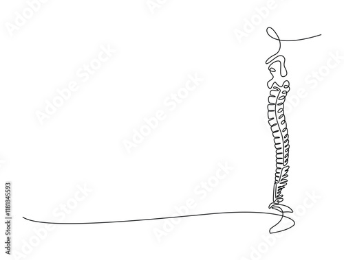 Continuous one line drawing bones of human hand.  Wrist bones in single line art vector illustration. Editable stroke.