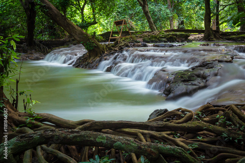 Than Bok Khorani national park is located in Amphoe Ao Luk, You can explore waterfalls, lush forests, caves, and various plants, flowers, birds, butterflies, located in Krabi, Thailand photo