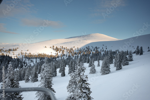 A snowy mountain peak rises beneath a clear blue sky, with evergreen trees blanketed in snow at its base. Ski resort. photo