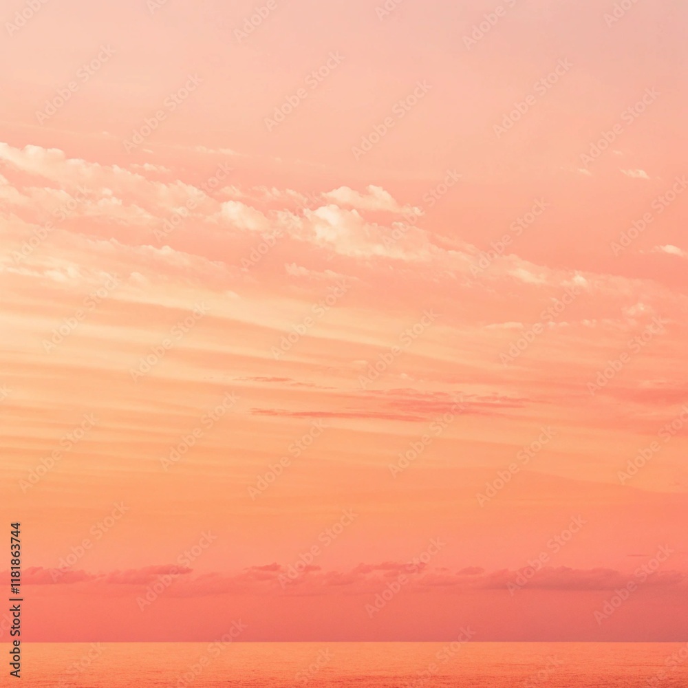 Obraz premium sunset in the desert