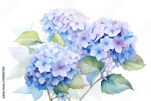 Fototapeta Naklejka Na Ścianę i Meble -  watercolor painting of flowers