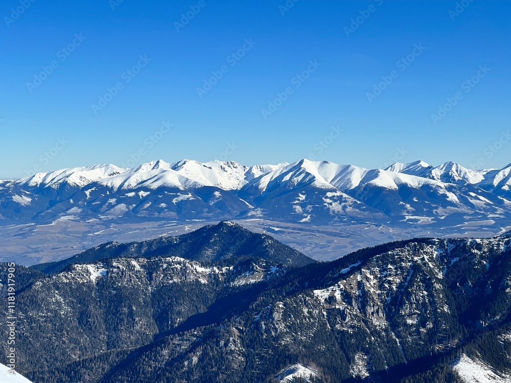 Fototapeta premium mountain panoramatic view of High Tatras in winter time with snow-covered peaks