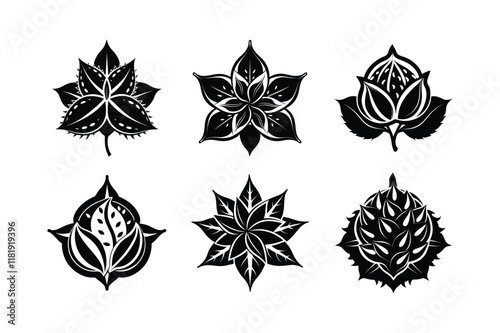 Mace (Myristica fragrans) design, labeled silhouette vector illustration