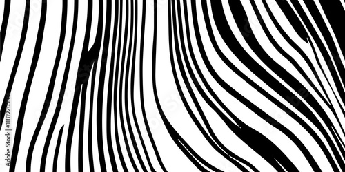 Wallpaper Mural Black and white background wavy optical illusion illustration wave texture, abstract motion, Zebra Animal Print Wallpaper Background wavy optical illusions. Black & white wavy design graphic work Torontodigital.ca