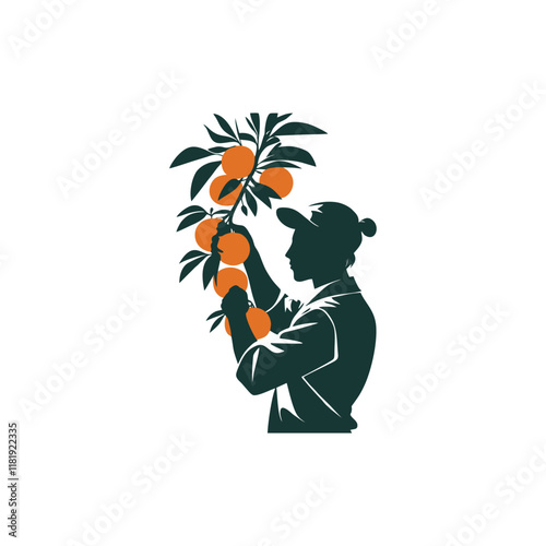 Vector illustration of a silhouette of a person picking oranges