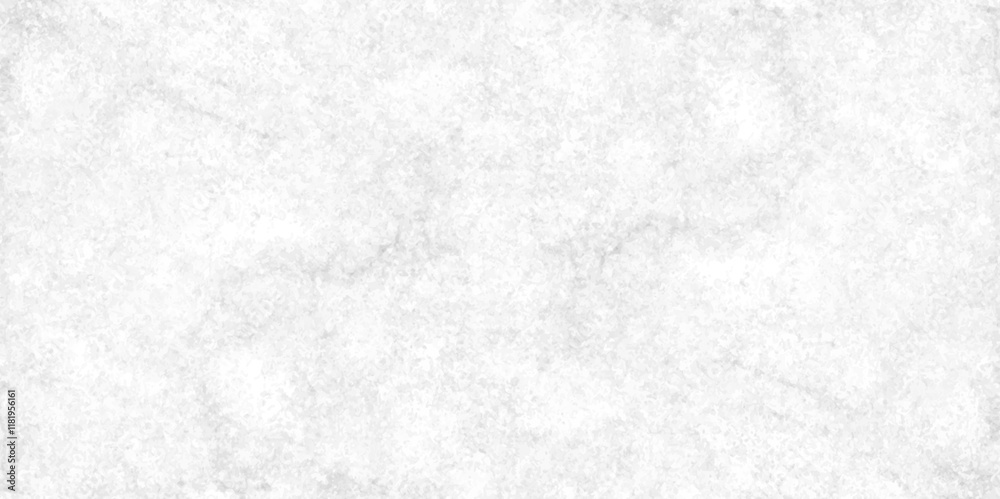 Fototapeta premium Abstract earth cracks texture on isolate vector background, Black and white old dirty texture, white and black cracks Transparent texture with vector marble pattern background.