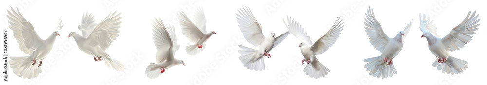 Obraz premium PNG Graceful doves in flight sequence, isolated element set, transparent background