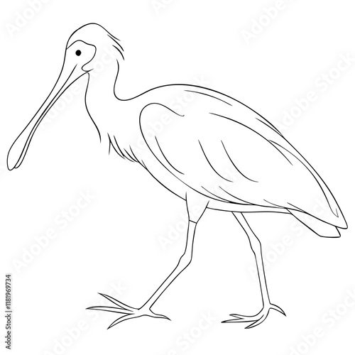 Spoonbill