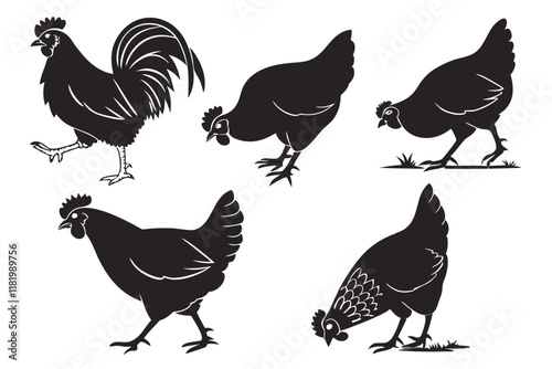 Create a series of chicken silhouettes on a white background. The chickens should be depicted in various poses, such as standing, walking, and pecking, with their distinct features like combs and tail