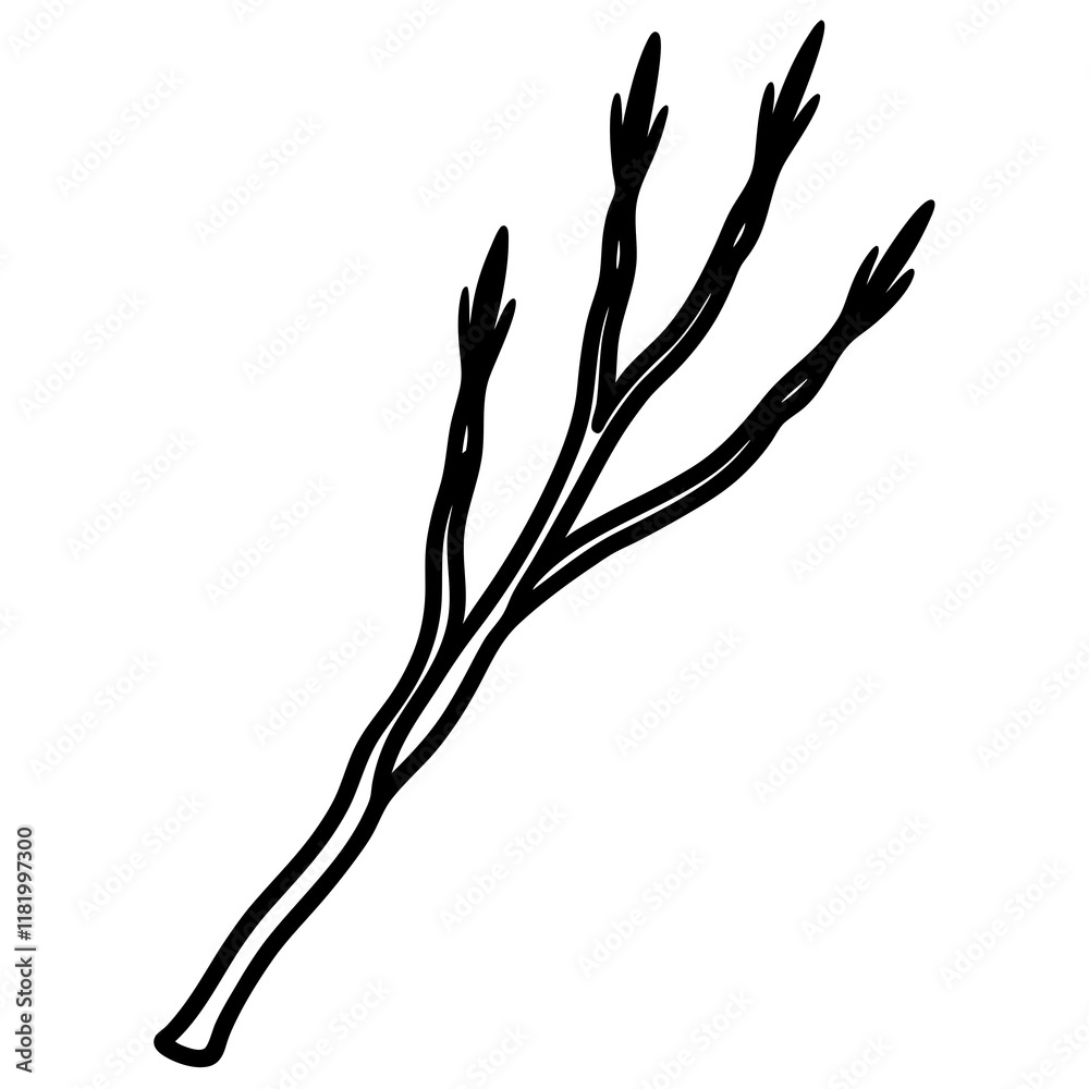 Fototapeta premium branch of a tree