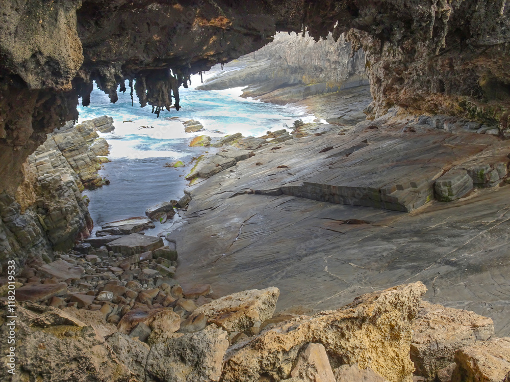 Obraz premium Admirals Arch lookout with sleeping Sea Lions