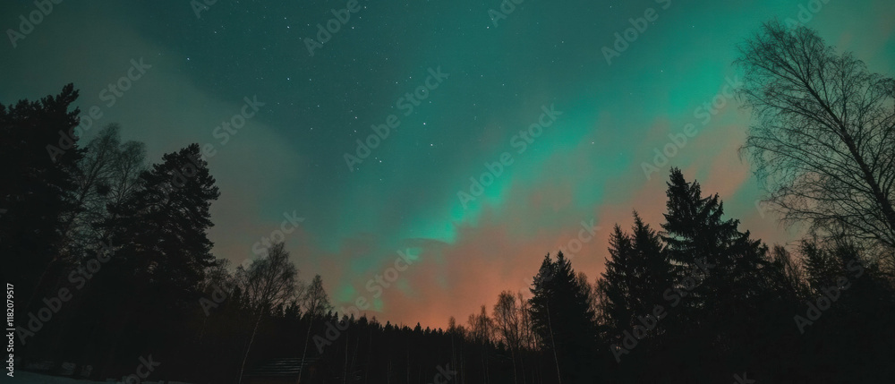 Naklejka premium Vibrant northern lights illuminate a tranquil forest at night
