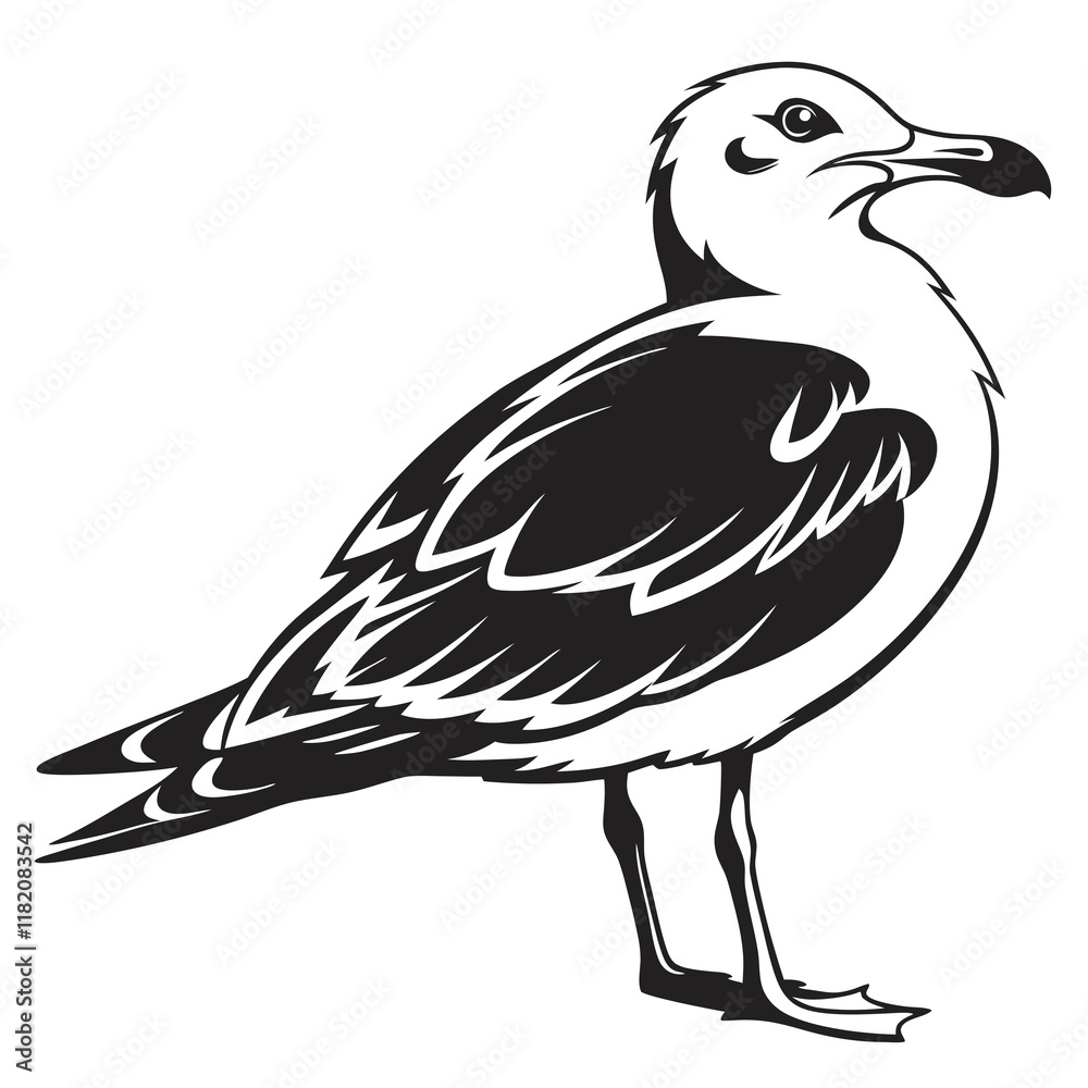Obraz premium Seagull vector silhouette black design white background