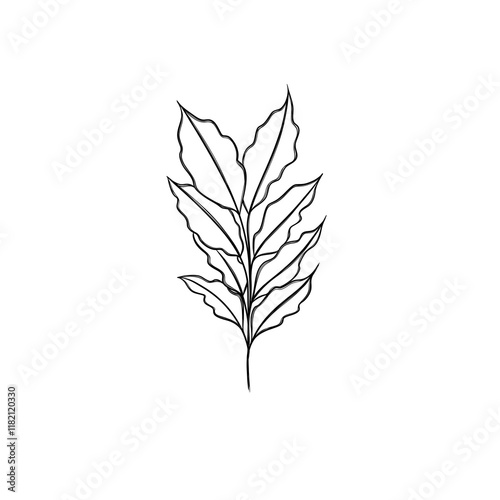  leaf pant line art. Minimalistic line drawing. leaf line art. Botanical drawing illustration by hand.