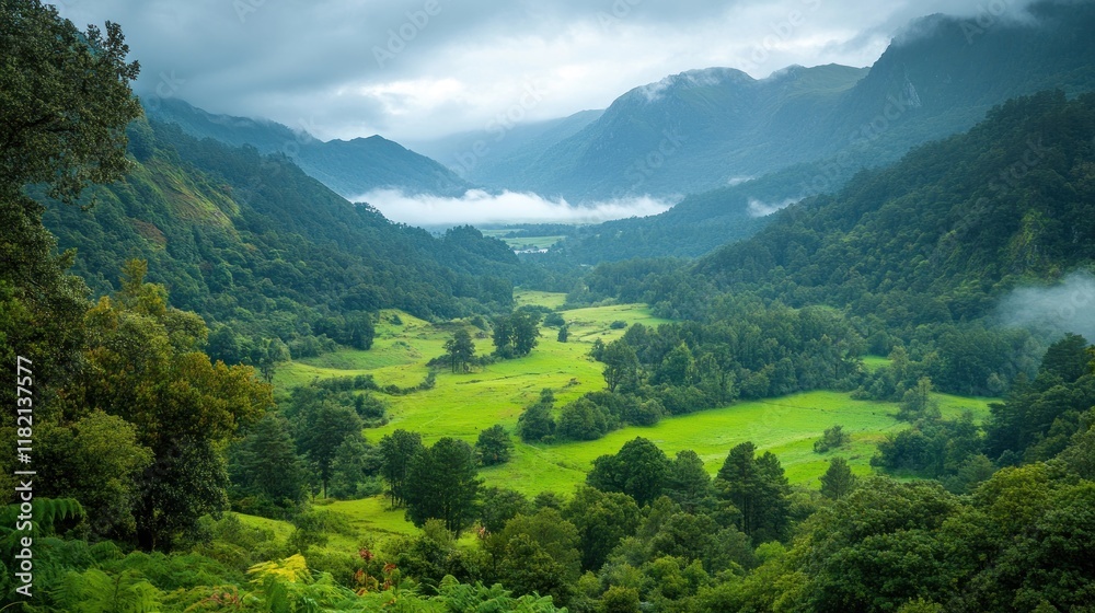 Fototapeta premium Majestic lush green valley with trees and colorful grass against high mountains in asturias in spain. beautiful view landscape with tree sky