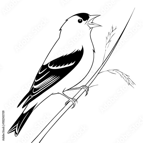 American Goldfinch