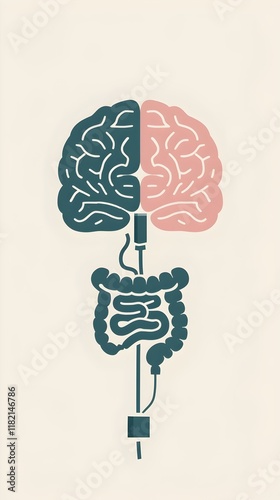 Brain connected to intestines representing gut-brain axis