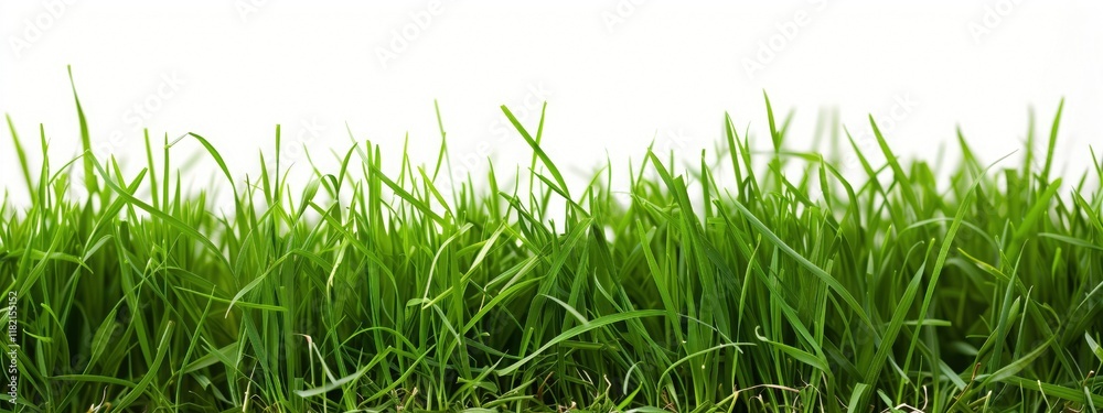 Fototapeta premium Green fresh grass on isolated white background. Generated AI