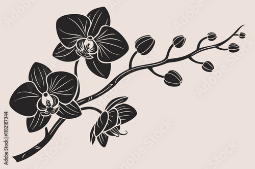 A  black and white silhouette of an orchid branch