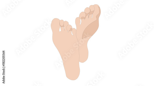 Female bare feet sole