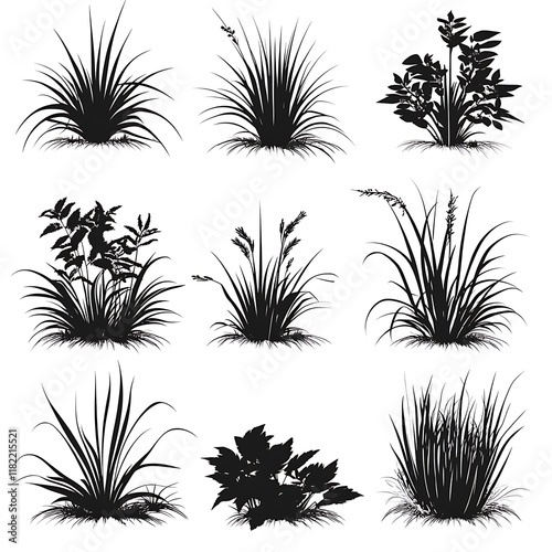 Set of Black and White Silhouettes of Various Plants and Grass