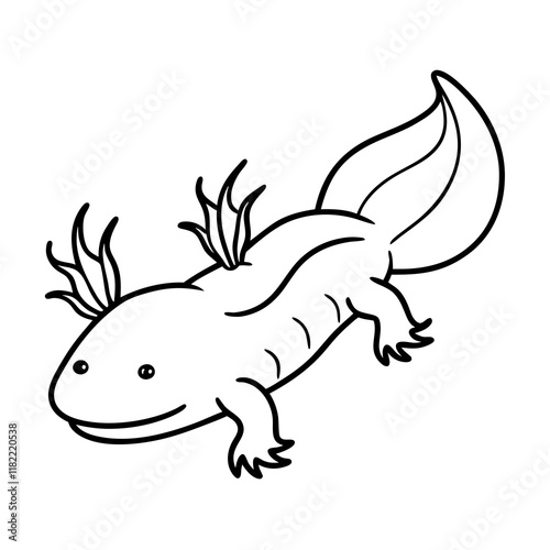 Axolotl on white background