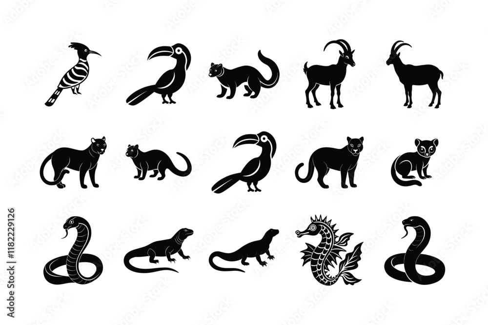 set of animal and Diverse Species Collection set of animal and Diverse Species Collection