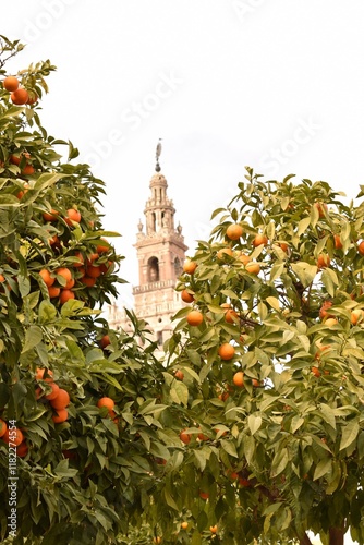 Tower of the Cathedral of Seville